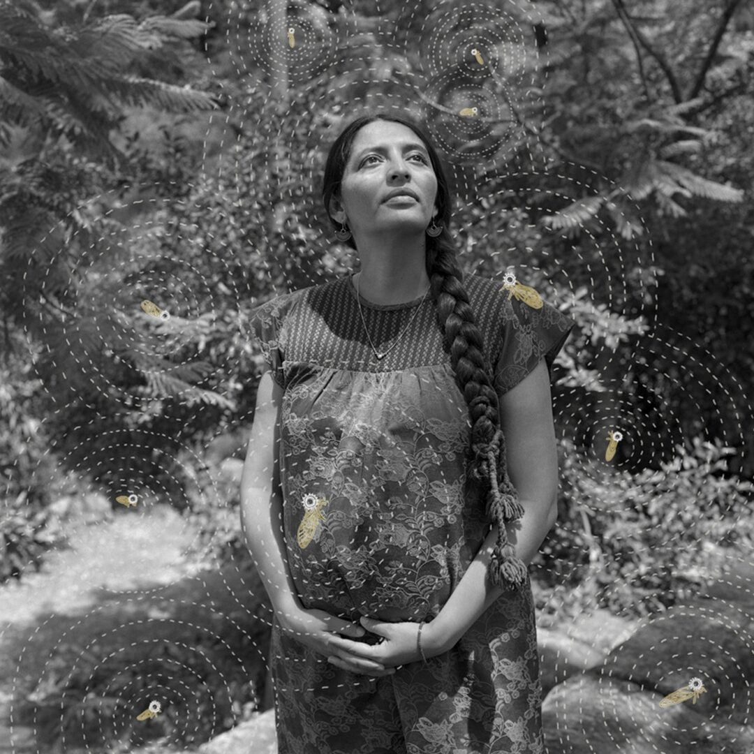 sony world photography awards 2026 winners