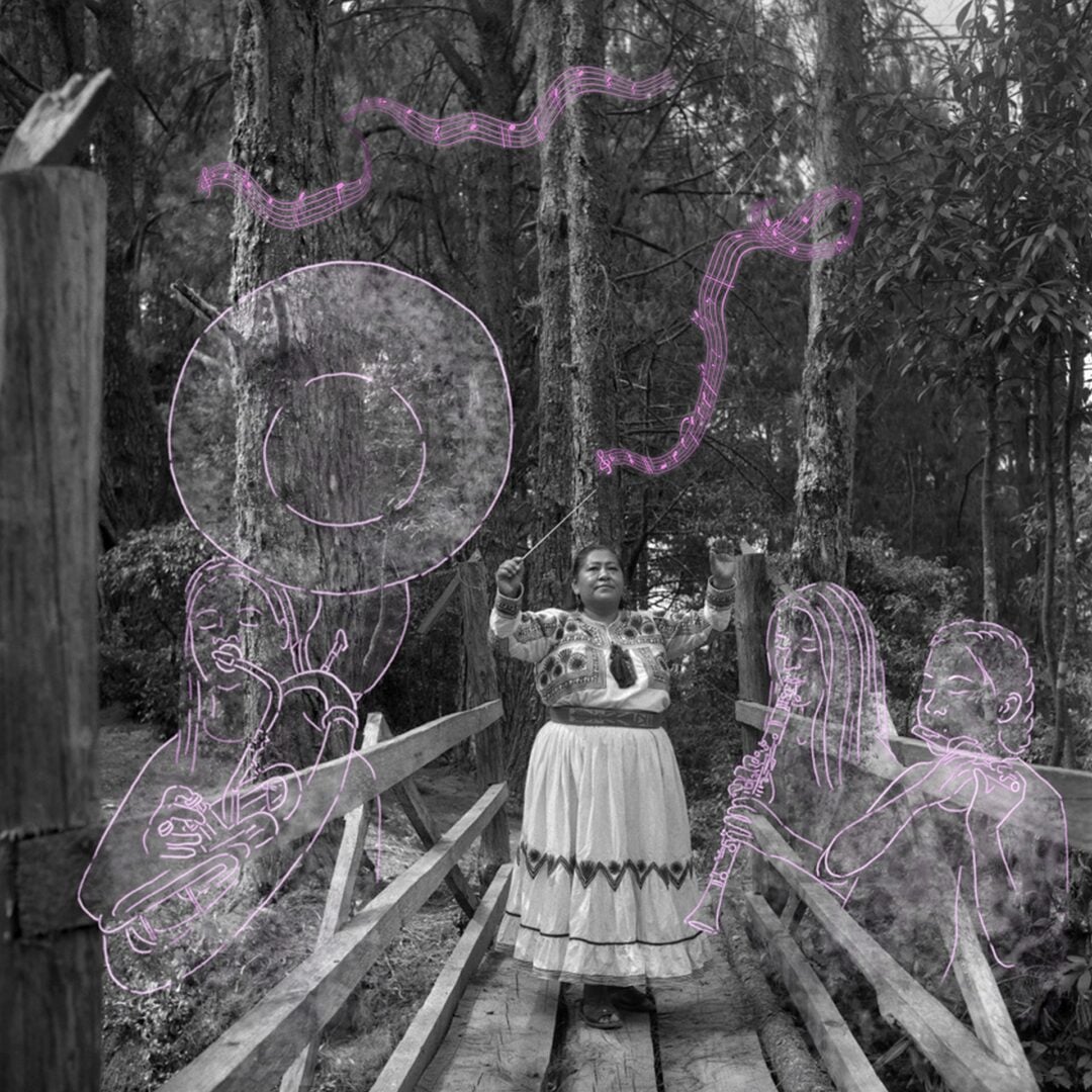 sony world photography awards 2026 winners