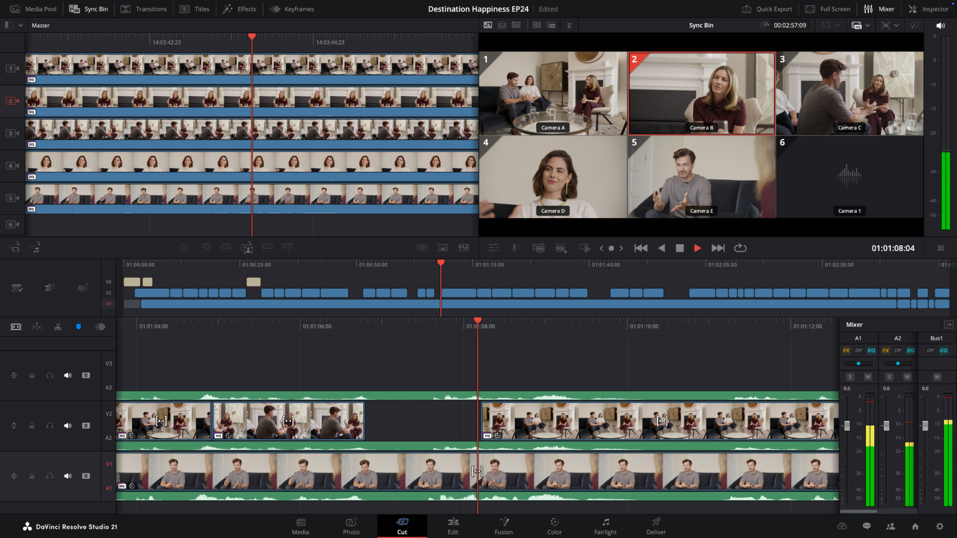 A screenshot of DaVinci Resolve 21 Timeline Tool.