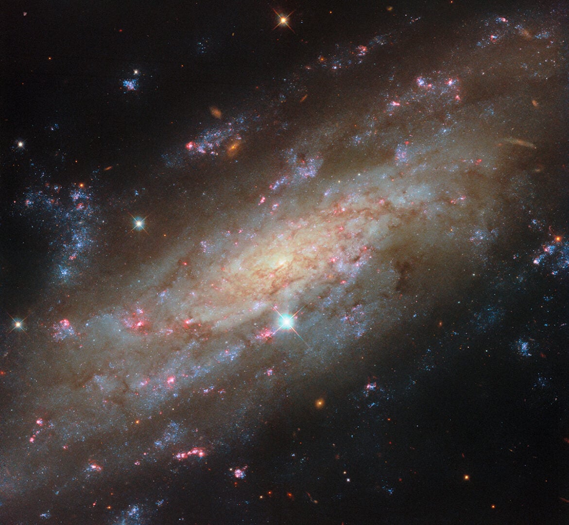 In this ESA/Hubble Picture of the Month, a spiral galaxy glittering with star clusters is the centre of attention. NGC 3137 is located 53 million light-years away in the constellation Antlia (The Air Pump). As a nearby spiral galaxy, this target offers astronomers an excellent opportunity to study the cycle of stellar birth and death, as well as giving researchers a glimpse of a galactic system similar to our own. Credit: ESA/Hubble & NASA, D. Thilker and the PHANGS-HST Team