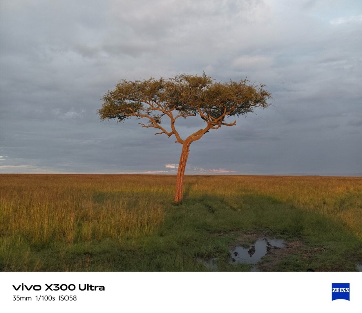 Vivo X300 Ultra