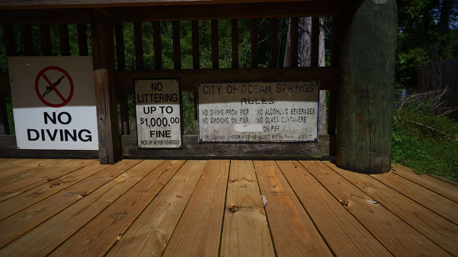 A sample photograph