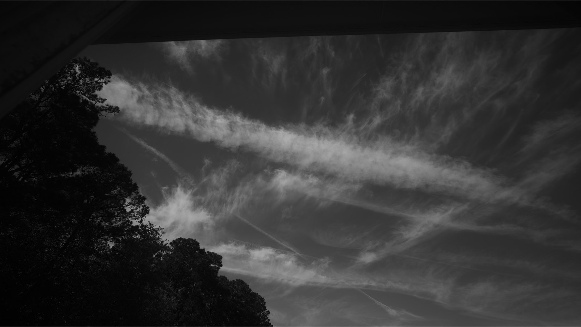 A sample photograph