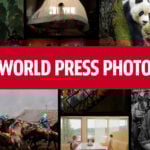 World Press Photo 2026