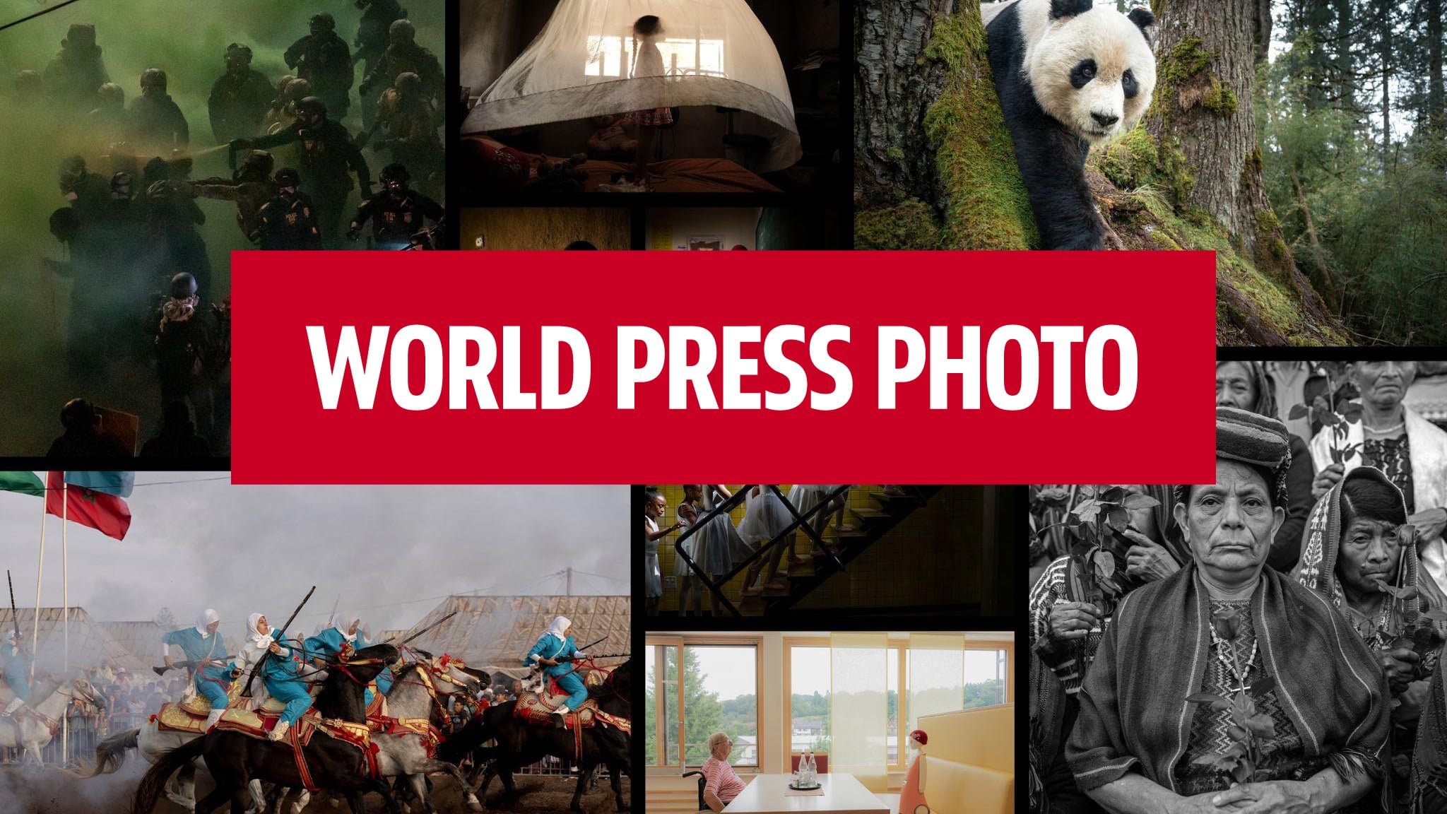 World Press Photo 2026