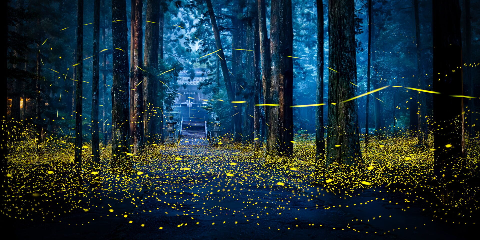 epson pano awards 2026 call for entries