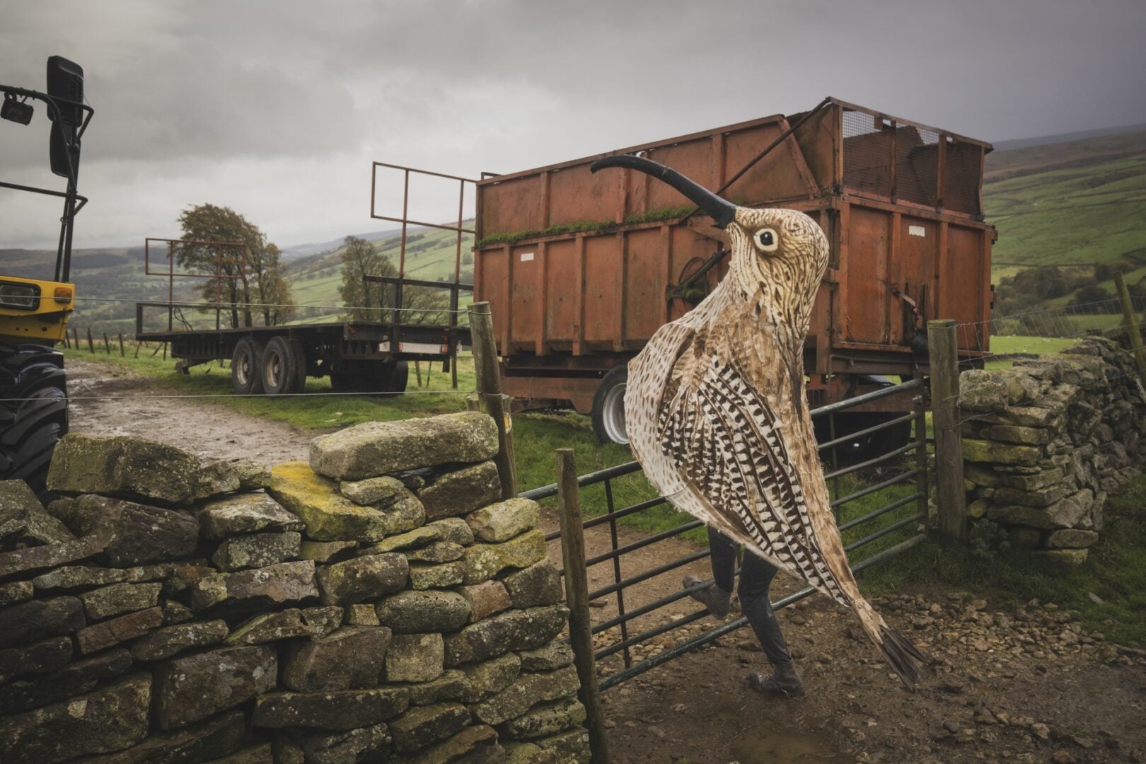 Environmental Photography Award 2026