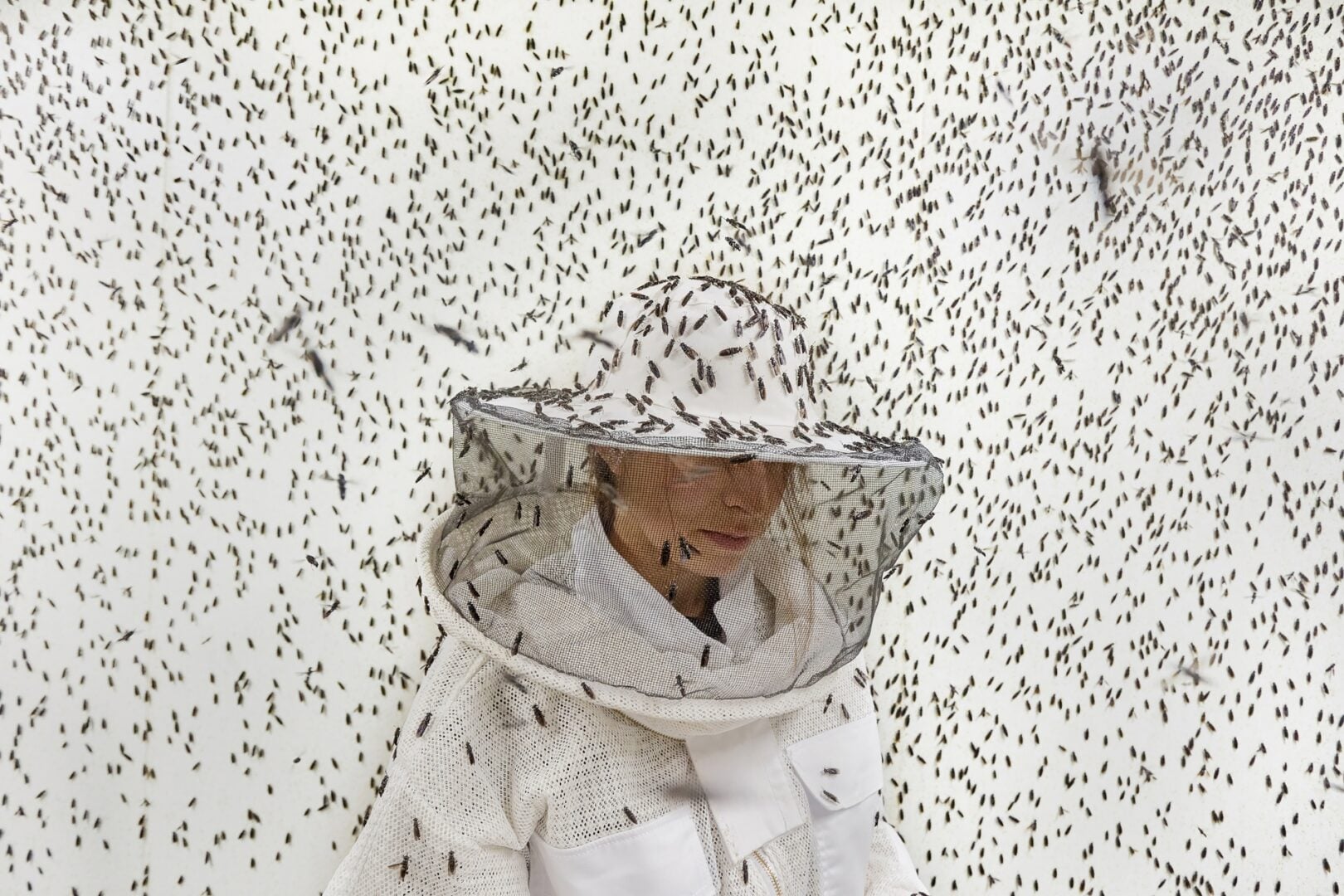 Environmental Photography Award 2026