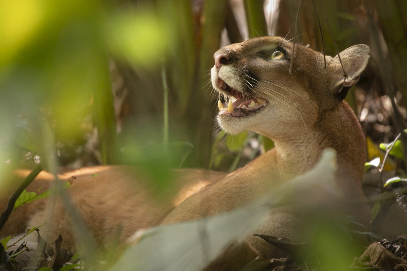 Environmental Photography Award 2026