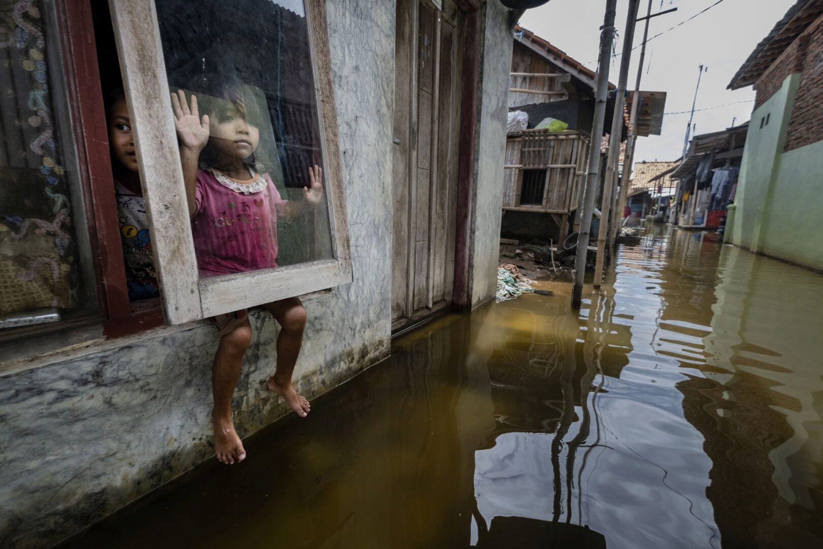 Environmental Photography Award 2026
