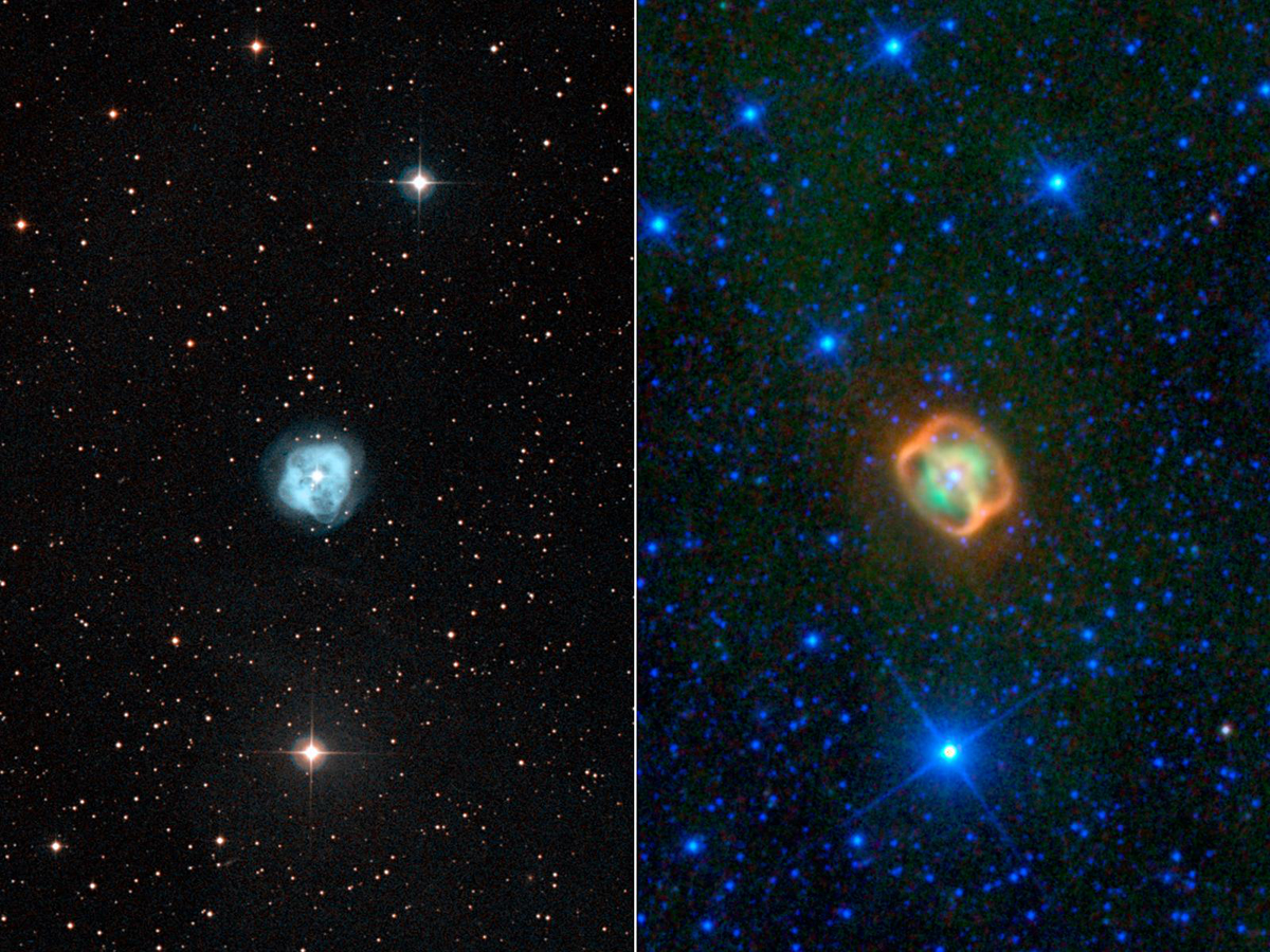 This image composite shows two views of a puffy, dying star, or planetary nebula, known as NGC 1514. The view on the left is from a ground-based, visible-light telescope (DSS); the view on the right shows the object in infrared light, as seen by NASA's Wide-field Infrared Survey Explorer, or WISE. Credit: NASA/JPL-Caltech/UCLA/DSS