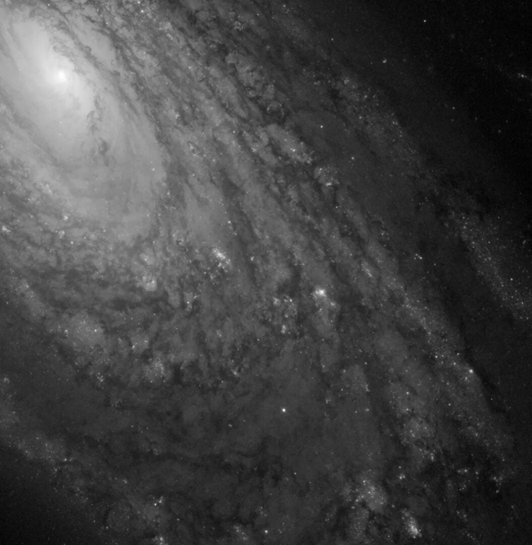 This Hubble observation was taken with the Wide Field and Planetary Camera 2 using a single visible-light filter. With Hubble, observations in multiple filters are needed to produce color images, so this image of nearly half the galaxy is in black and white. Credit: NASA, ESA, STScI, and M. Stiavelli (STScI)