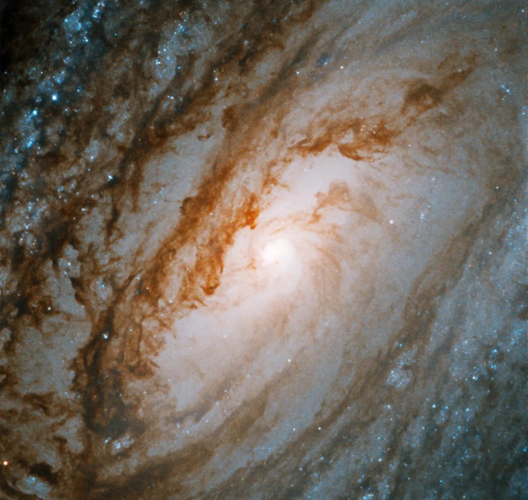 Hubble's earlier observation of the M88 galaxy. Credit: NASA, ESA, and P. Erwin (Max-Planck-Institut fur extraterrestrische Physik); Processing: Gladys Kober (NASA/Catholic University of America)