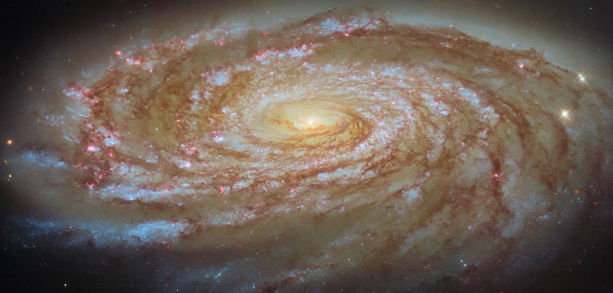 Hubble's latest image of Messier 88, an active spiral galaxy on a journey lasting hundreds of millions of years. Credit: ESA/Hubble & NASA, D. Thilker and the MAUVE-HST Team