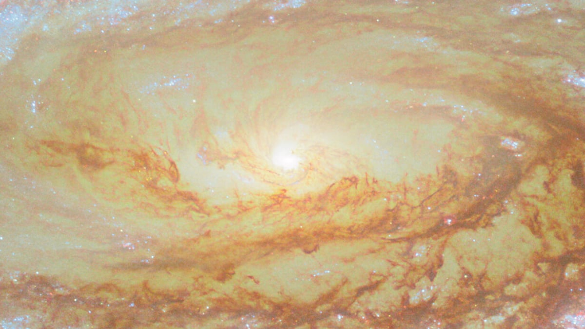 A close-up (cropped) view of the core of Messier 88, containing a supermassive black hole. Credit: ESA/Hubble & NASA, D. Thilker and the MAUVE-HST Team