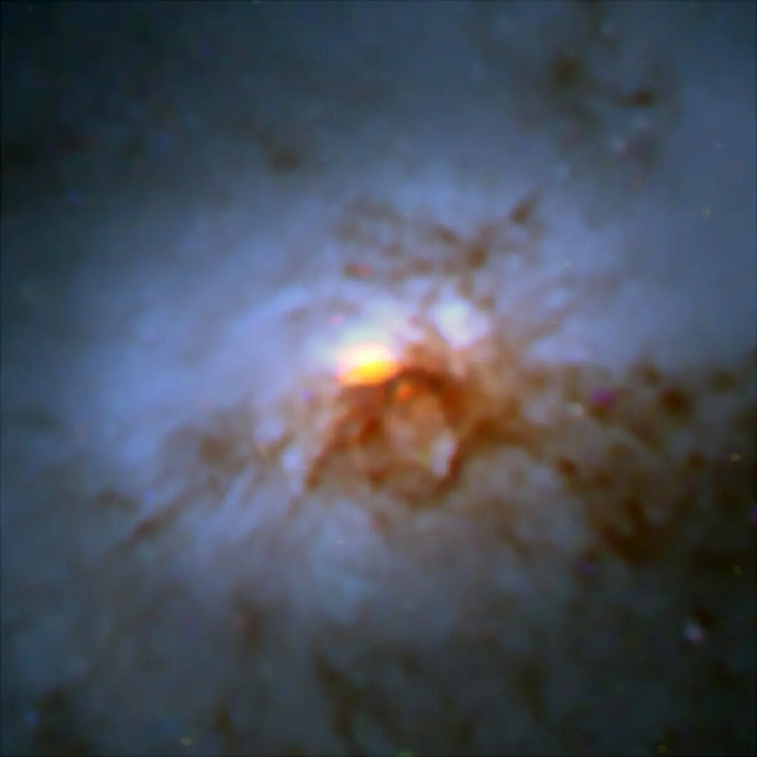 A combined Hubble Space Telescope / ALMA image shows the core of NGC 1266. The ALMA data (orange) are shown in the central region. Credit: NASA/ESA Hubble; ALMA (NRAO/ESO/NAOJ)