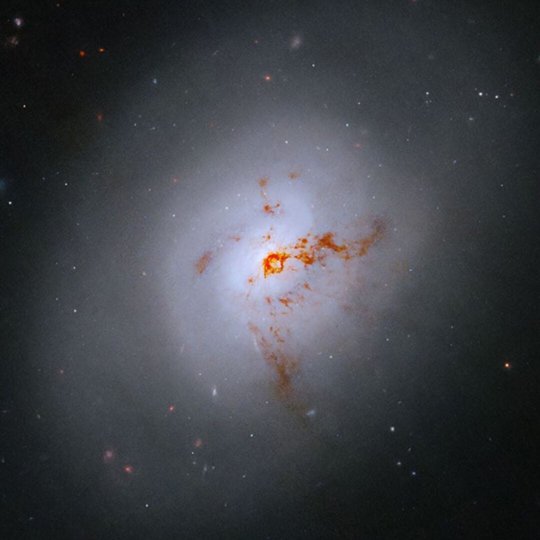 A close-up (cropped) view of NGC 1266 shows dark dust lanes across the galaxy's disk. Credit: NASA, ESA, K. Alatalo (STScI); Image Processing: G. Kober (NASA/Catholic University of America)
