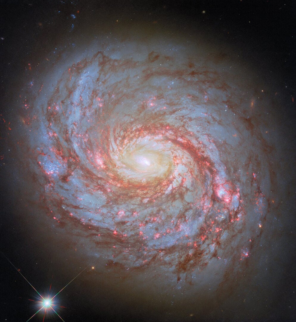 Hubble Space Telescope's visible light observation of Messier 77. Credit: ESA/Hubble & NASA, L. C. Ho, D. Thilker