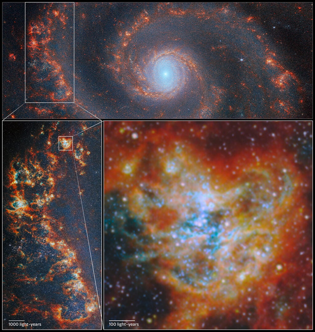 A graphic showing three images of spiral galaxy M51. The top image spans the spiral arms and the galactic centre. A large upright portion of the spiral arm on the left is highlighted in a box, which expands to the image on the left, showing the area in more colour and greater detail. Credit: ESA/Webb, NASA & CSA, A. Pedrini, A. Adamo (Stockholm University) and the FEAST JWST team