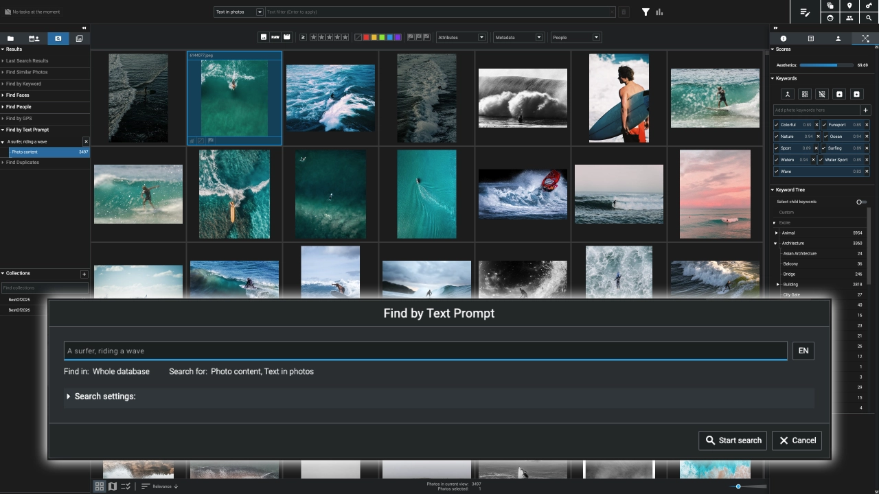 AI photo management software