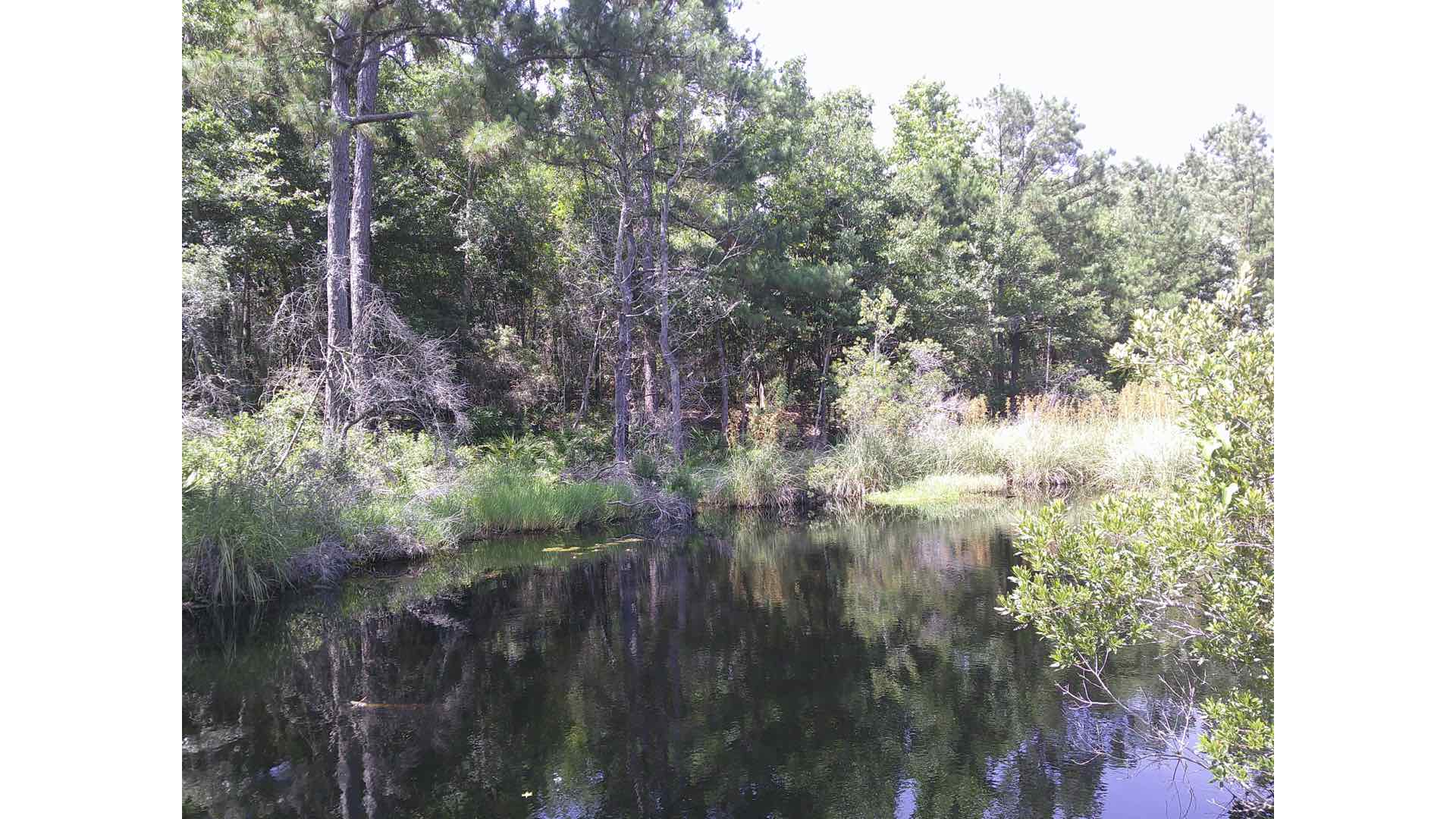 12MP sample photograph