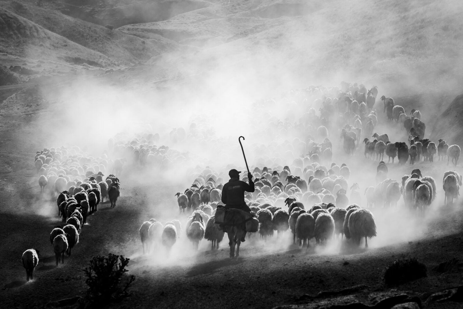 The 2026 World Food Photo Awards Winners Will Make You Hungry