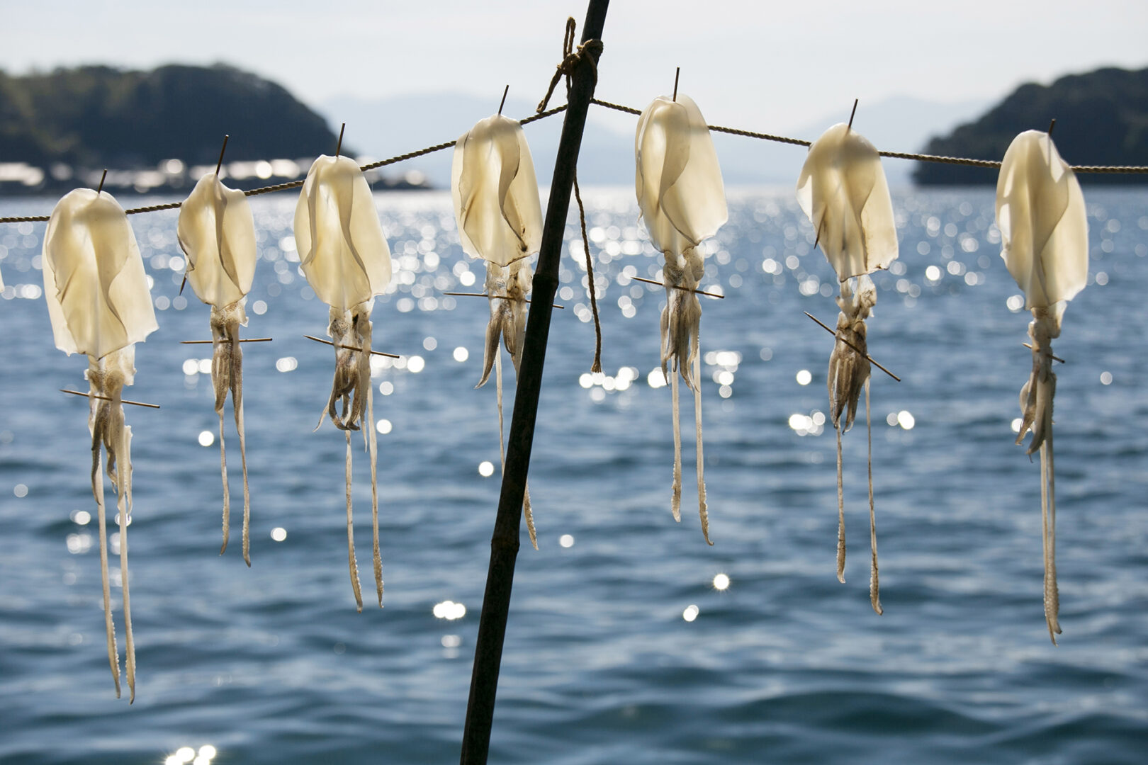 The 2026 World Food Photo Awards Winners Will Make You Hungry