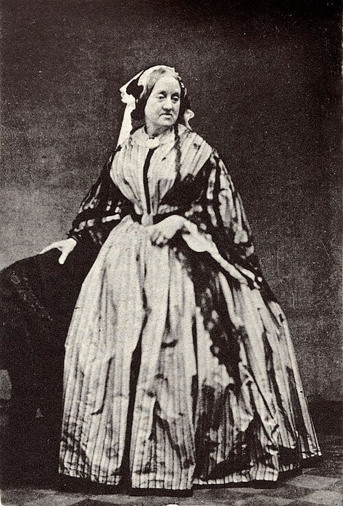 When Was Photography Invented? The Fascinating History of the First Cameras and Photographs anna atkins cyanotype