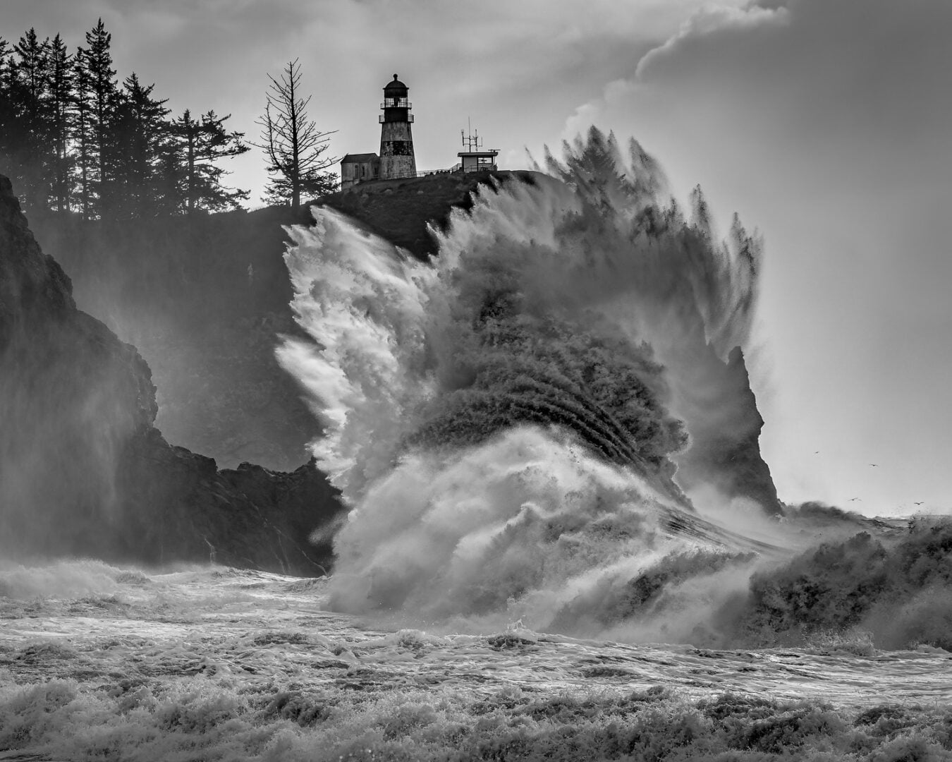 reFocus Award Winning Black and White Photograph