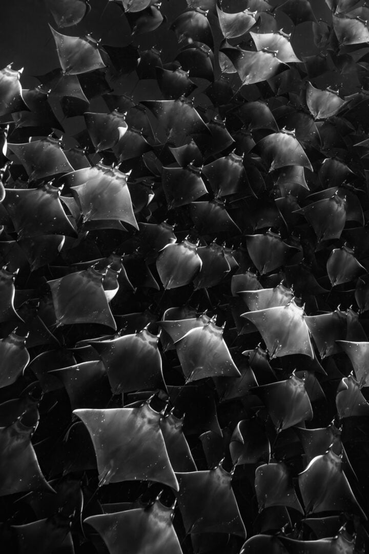 reFocus Award Winning Black and White Photograph