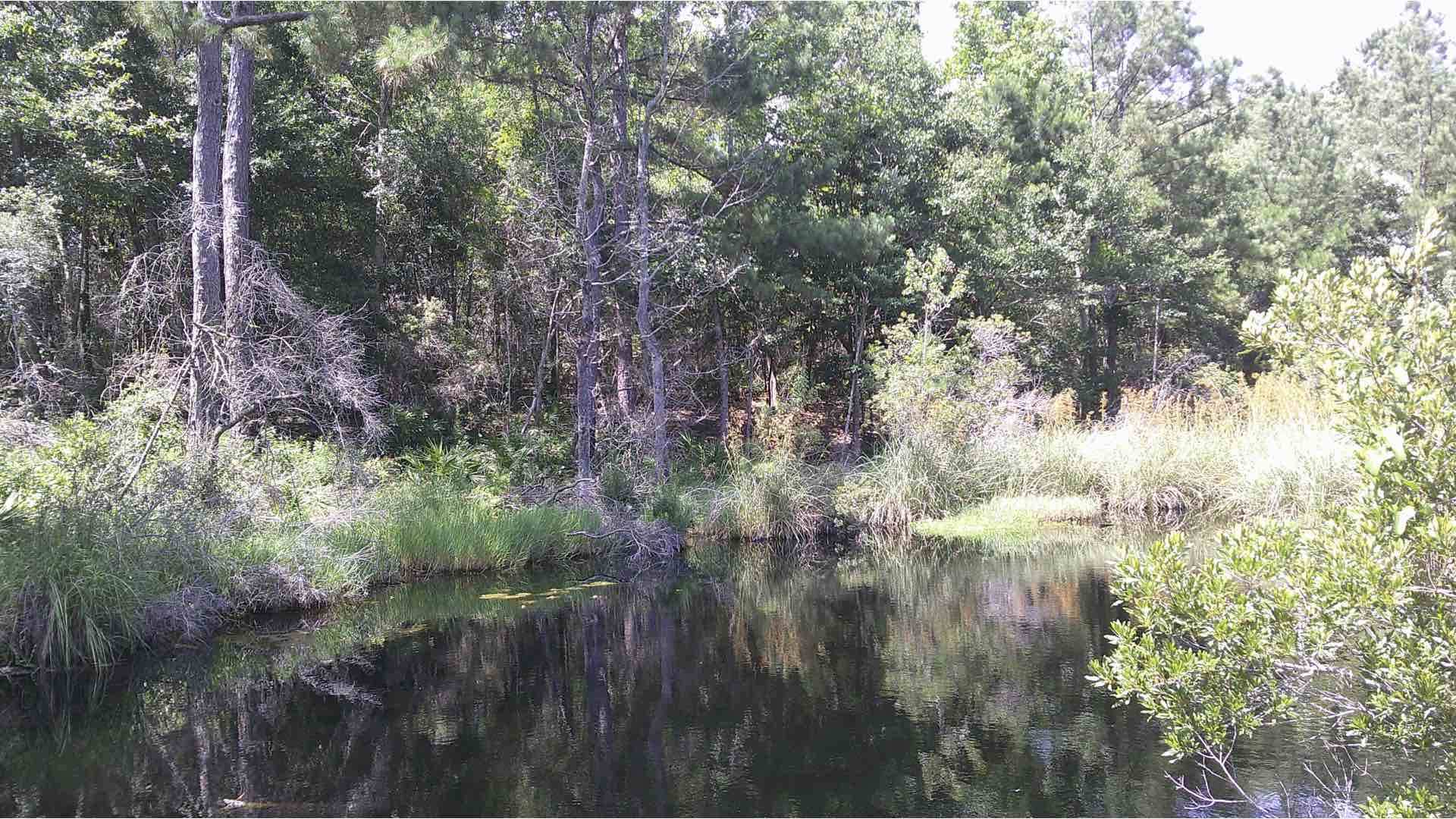 7MP sample photograph