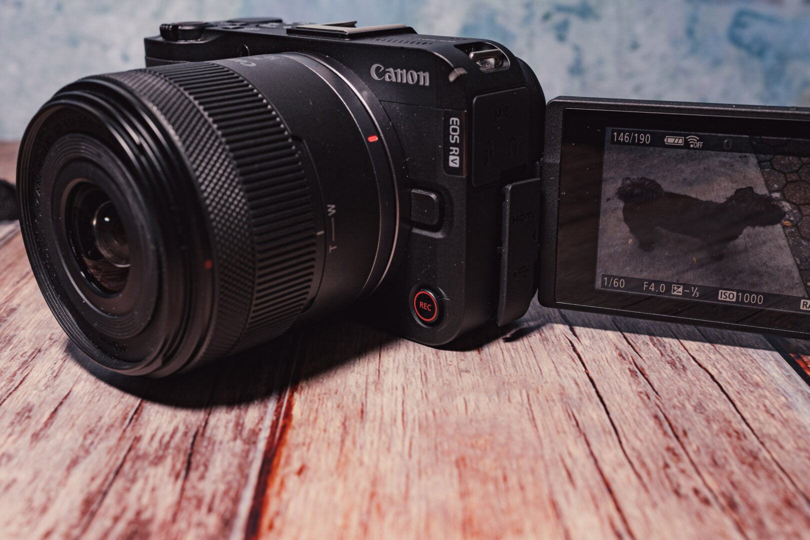 Canon EOS R50V with its flip-out screen against a blue background.