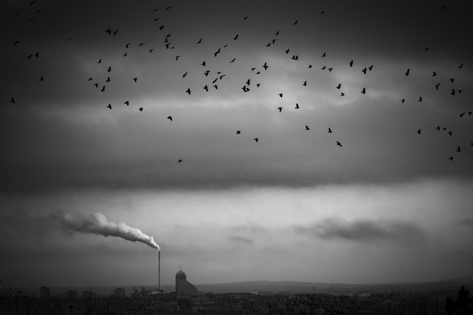 The 2026 iPhone Photography Awards Prove Great Photos Have Nothing to Do With Expensive Cameras