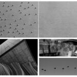 Collage of the 2026 reFocus Awards winners