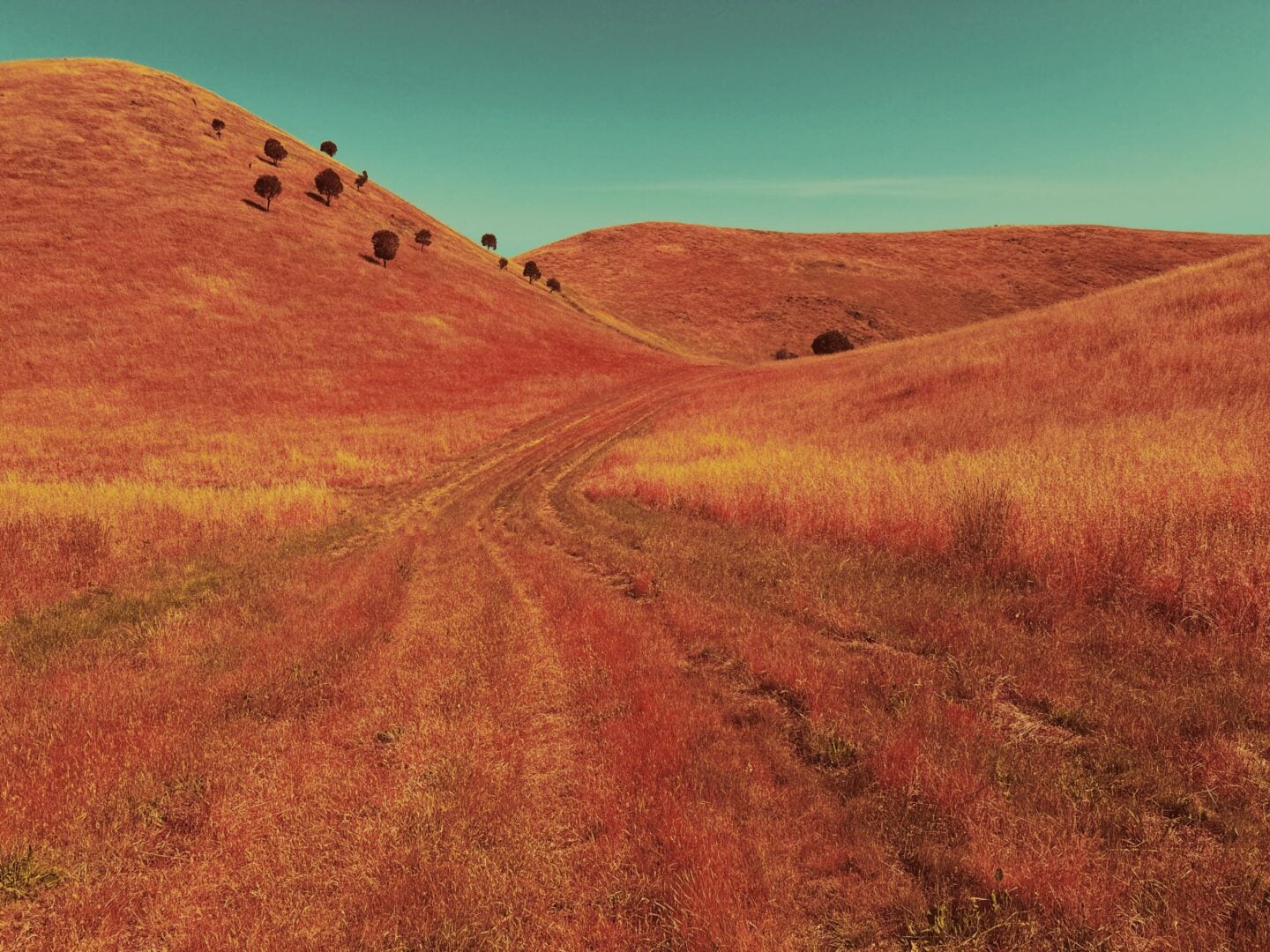 The 2026 iPhone Photography Awards Prove Great Photos Have Nothing to Do With Expensive Cameras