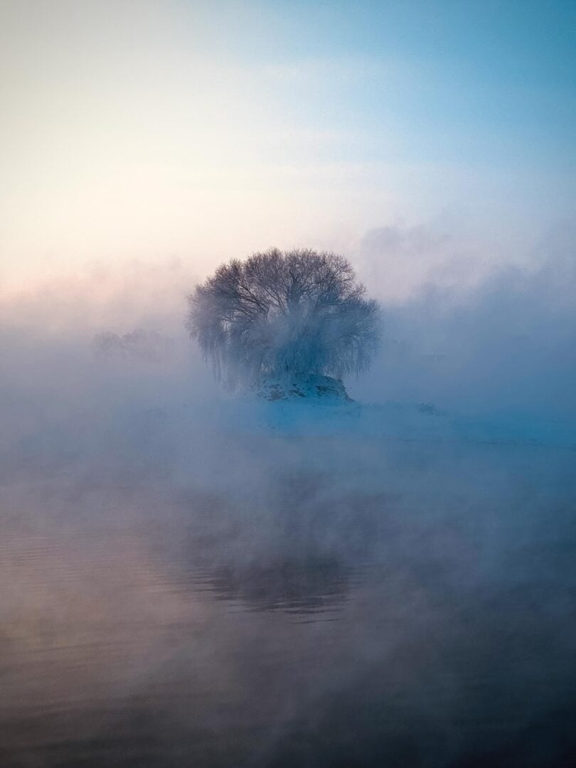 The 2026 iPhone Photography Awards Prove Great Photos Have Nothing to Do With Expensive Cameras