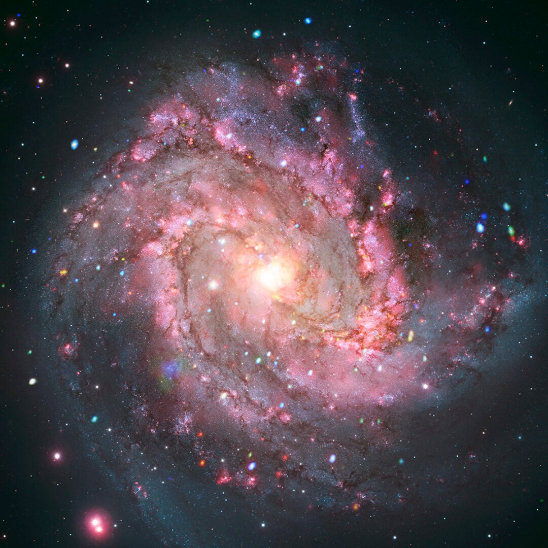 A composite image (x-ray and optical) of the M83 galaxy captured by the Chandra X-Ray Observatory. Credit: X-ray: NASA/CXC/SAO; Optical: NASA/ESA/AURA/STScI, Hubble Heritage Team, W. Blair (STScI/Johns Hopkins University) and R. O'Connell (University of Virginia); Image Processing: NASA/CXC/SAO/A. Jubett, L. Frattare and P. Edmonds