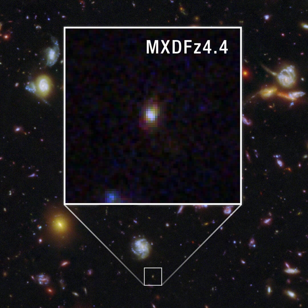 A close-up (cropped) view of the galaxy MXDFz4.4. Credit: NASA, ESA, STScI, I. Goovaerts, M. Rafelski, A. Koekemoer (STScI). Image Processing: A. Pagan (STScI)