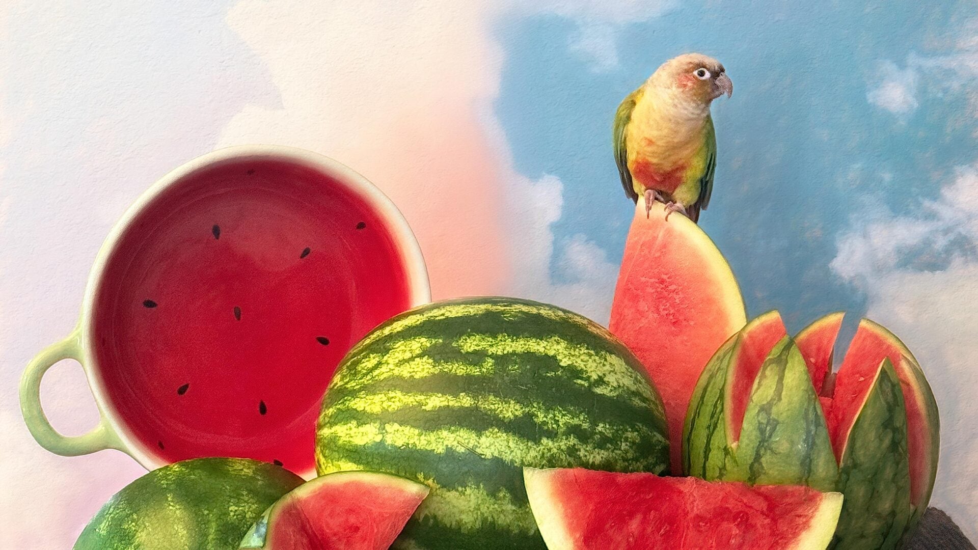 The 2026 iPhone Photography Awards Prove Great Photos Have Nothing to Do With Expensive Cameras