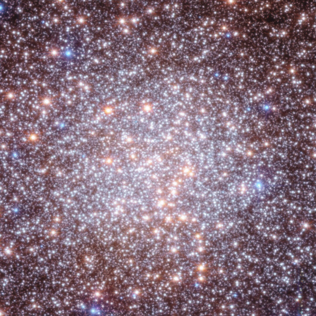A close-up (cropped) view of Terzan 5, captured by JWST and Hubble. Credit: NASA, ESA, CSA, STScI, G. Zullo (University of Bologna), F. R. Ferraro (University of Bologna). Image Processing: A. Pagan (STScI)