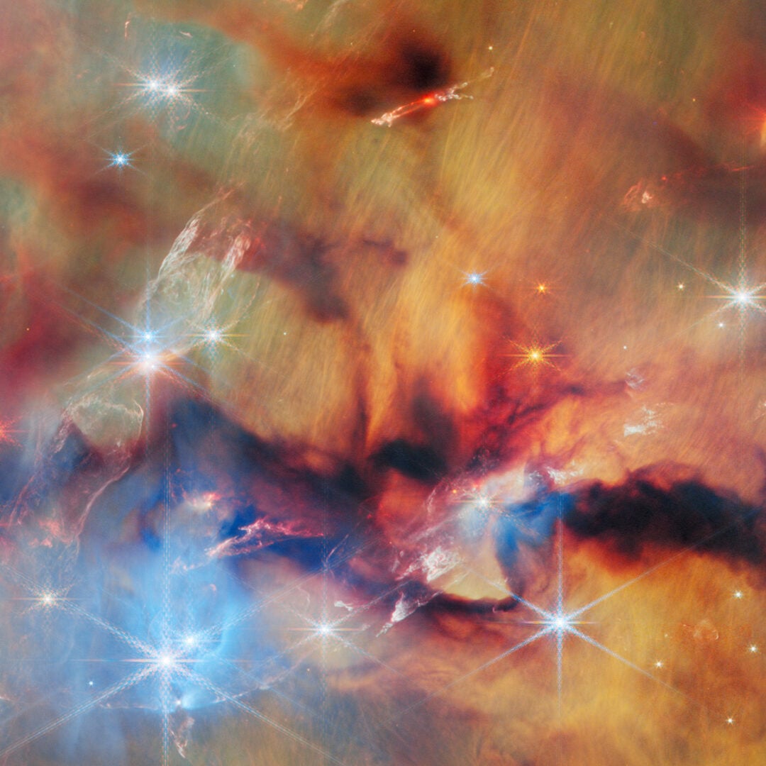 A close-up (cropped) view of the OMC-2 region captured by JWST. Credit: ESA/Webb, NASA & CSA, T. Megeath, M. Zamani (ESA/Webb); Acknowledgement: M. H. Özsaraç