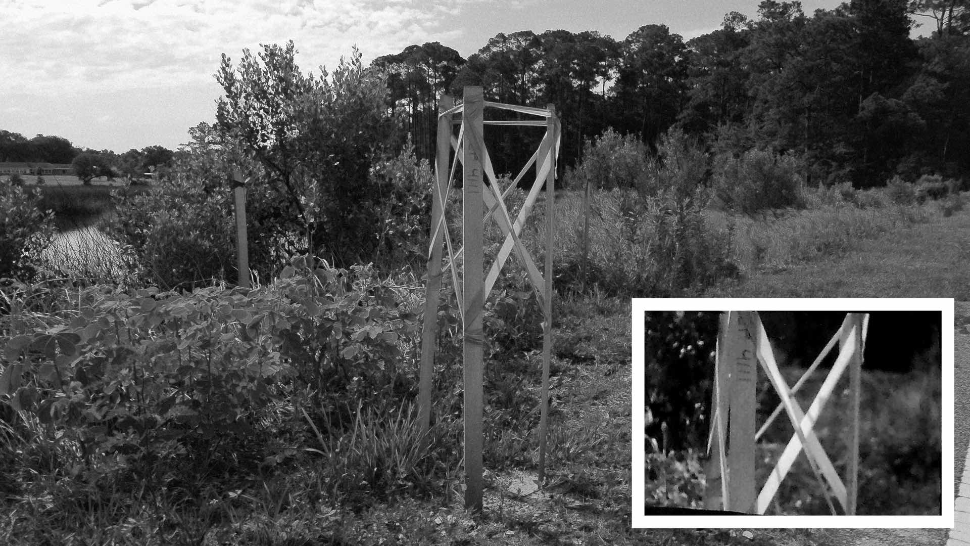 Two sample photographs