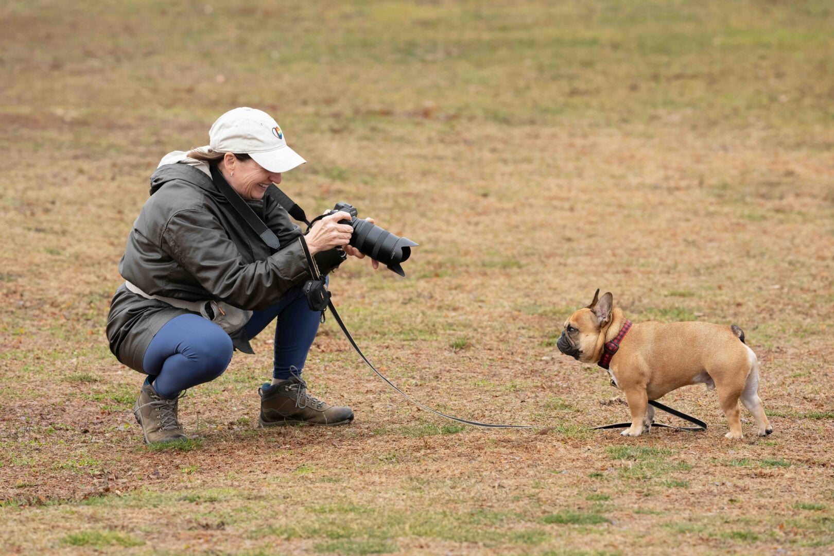 dog photography tips