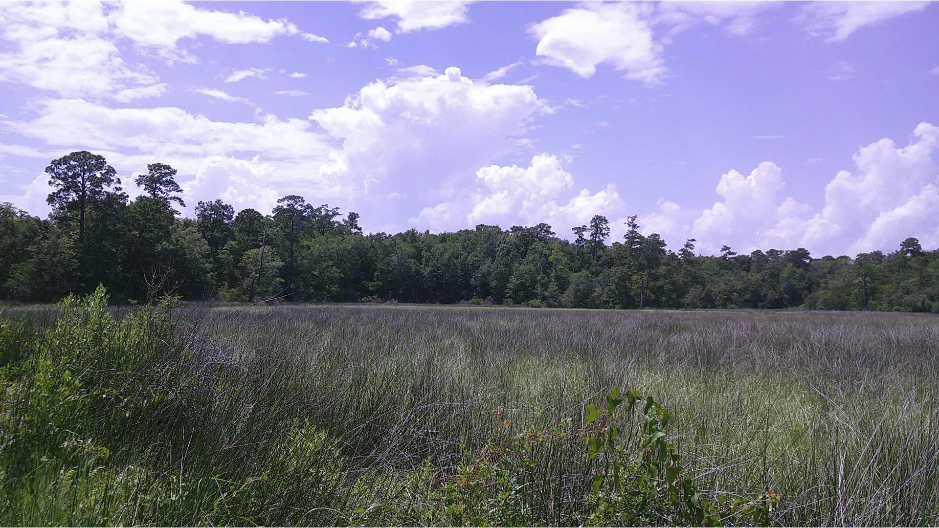 Sample photograph