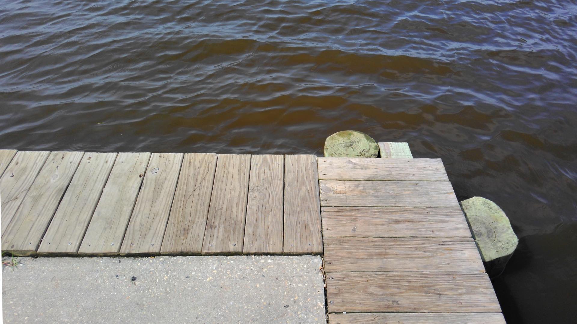 Sample photograph