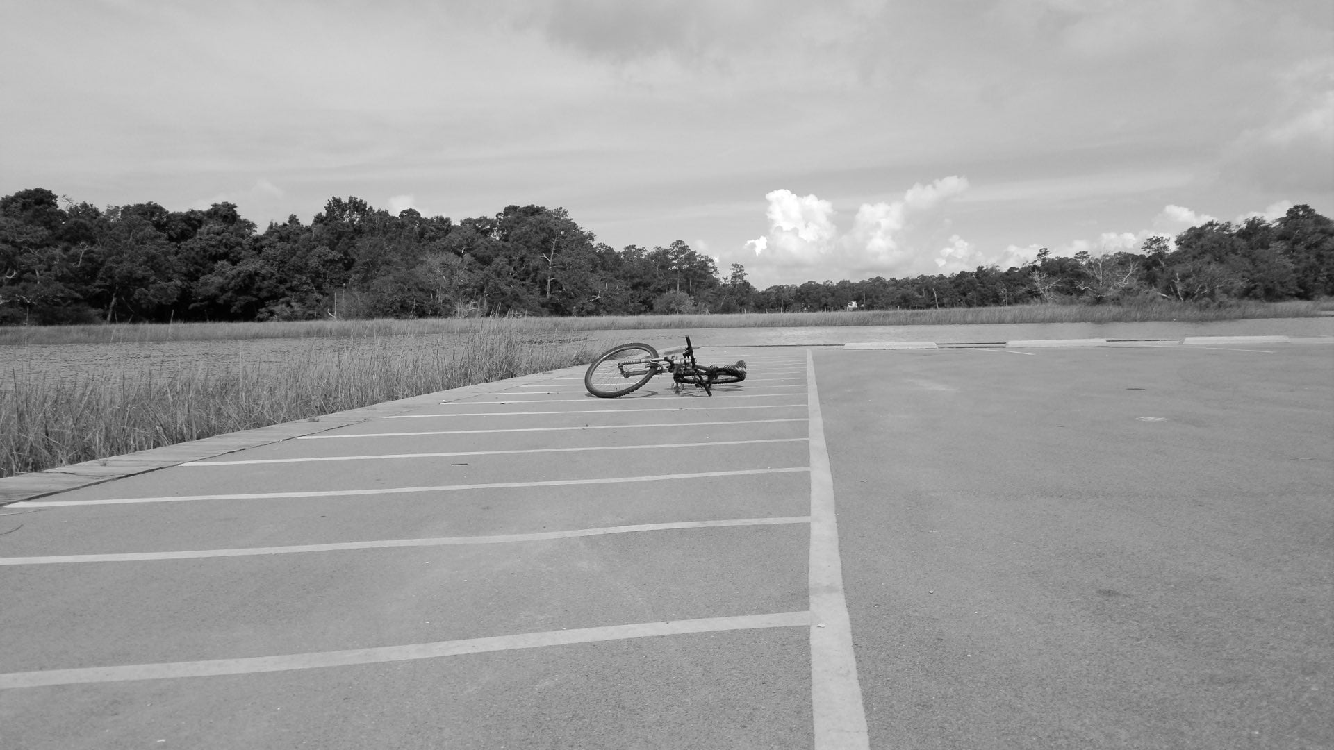 Sample photograph