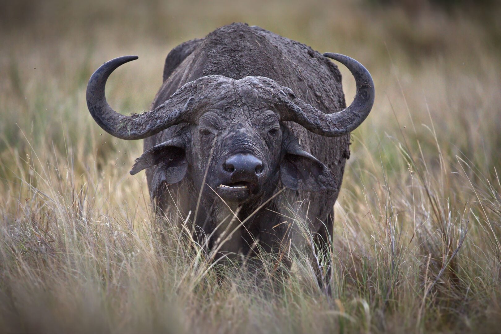  Tips for Nature Photography