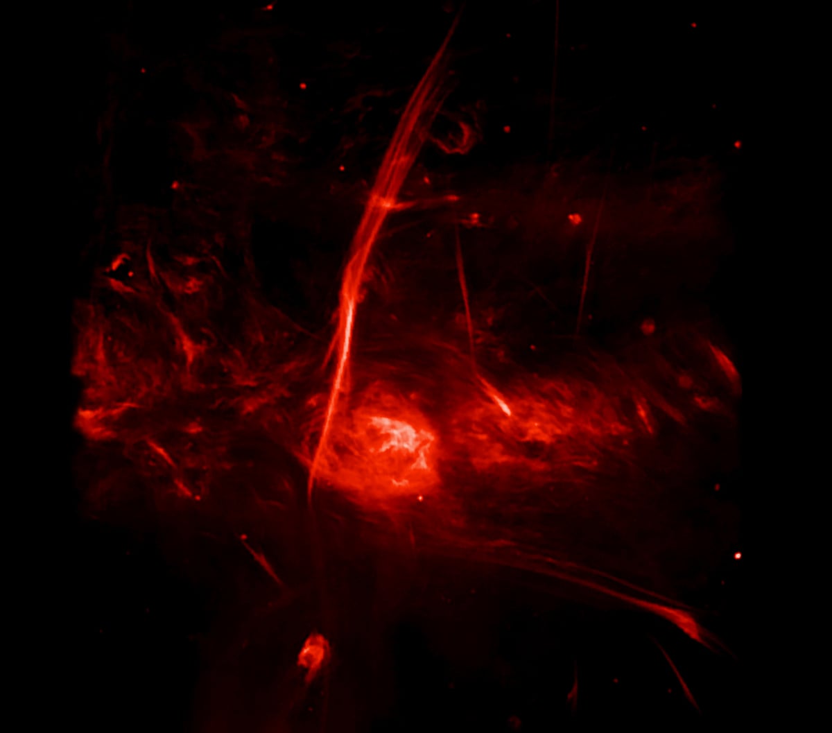 Radio image of the possible supernova remnant. Credit: MeerKAT