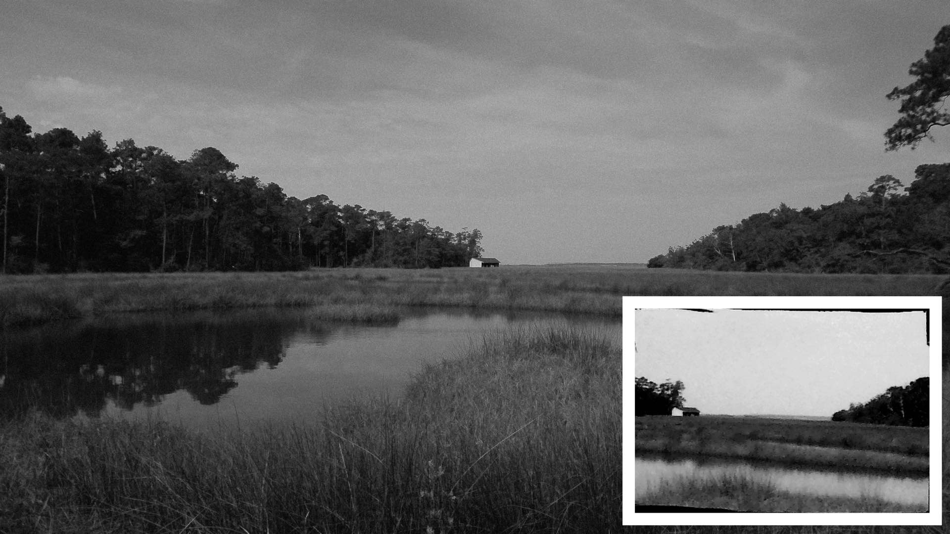 Two sample photographs