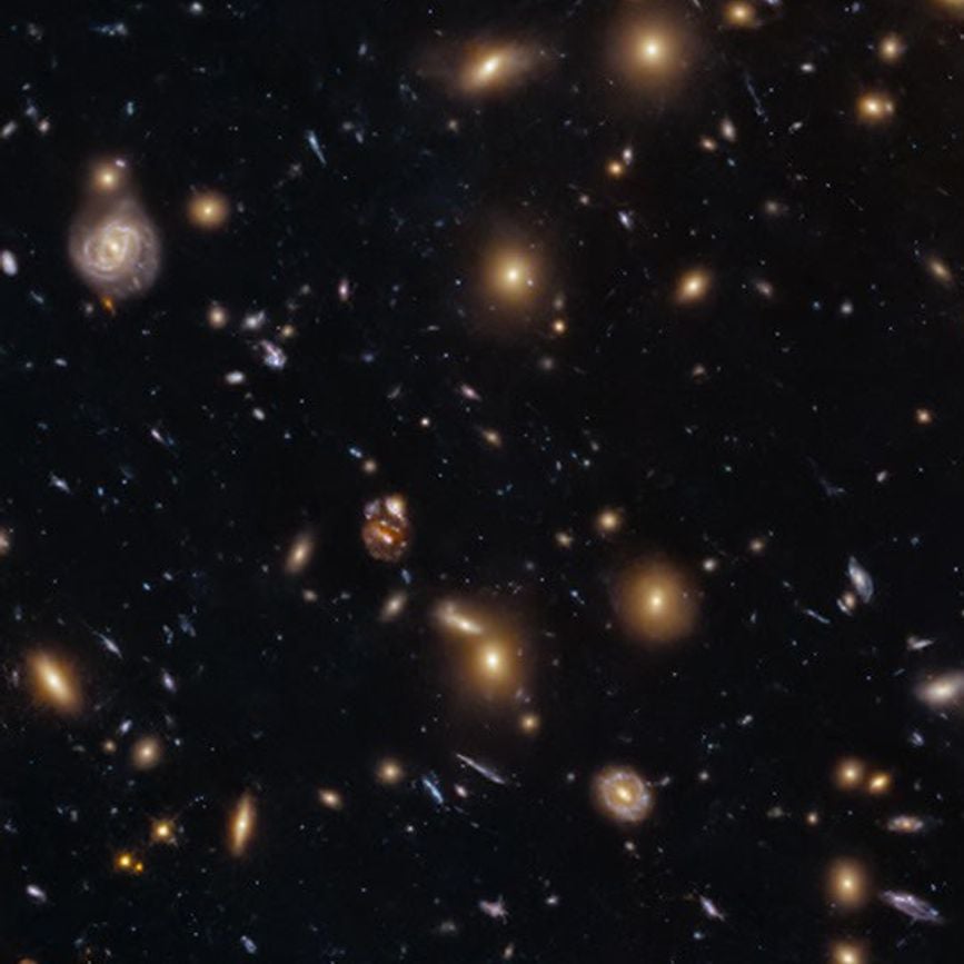 Multiple elliptical and spiral galaxies were captured by Hubble. Credit: NASA, ESA, M. Postman (STScI); Image Processing: G. Kober (NASA/Catholic University of America)